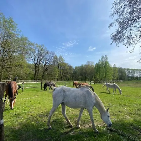 Inglotowka Casa rural