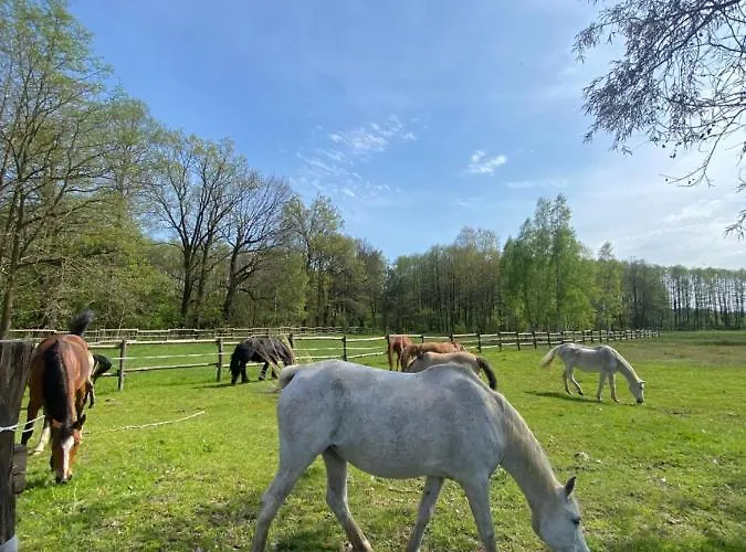 Inglotówka Casa rural
