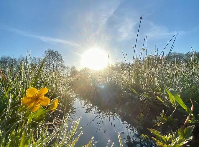 カントリーハウス Inglotowka Wolow (Wolow)