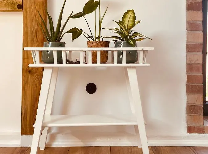 Inglotowka * Wolow (Wolow)